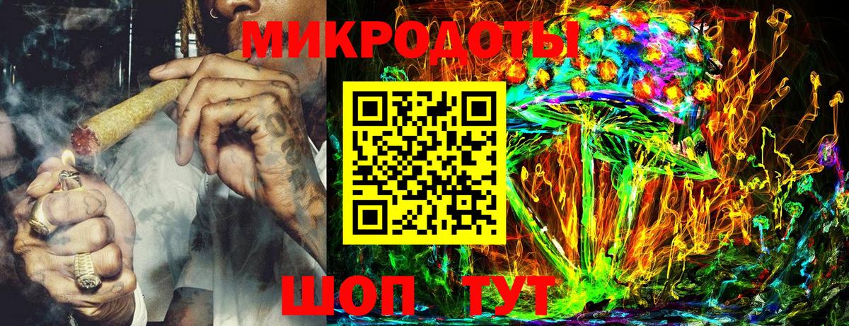 Псилоцибиновые грибы Psilocybine cubensis Губкин