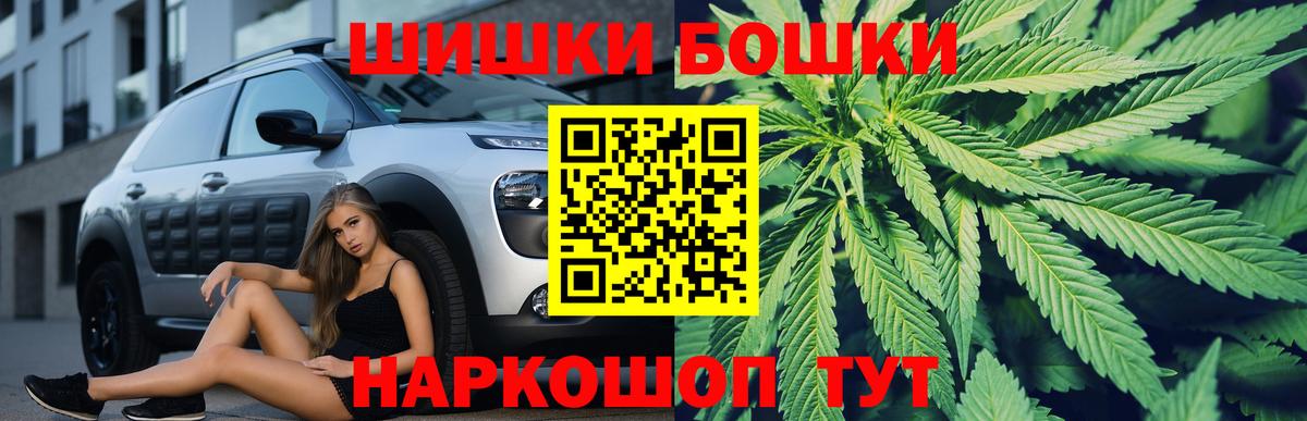 Каннабис гибрид  Бошки марихуана семена  Губкин  Вход с VPN  Бошки Шишки White Widow 